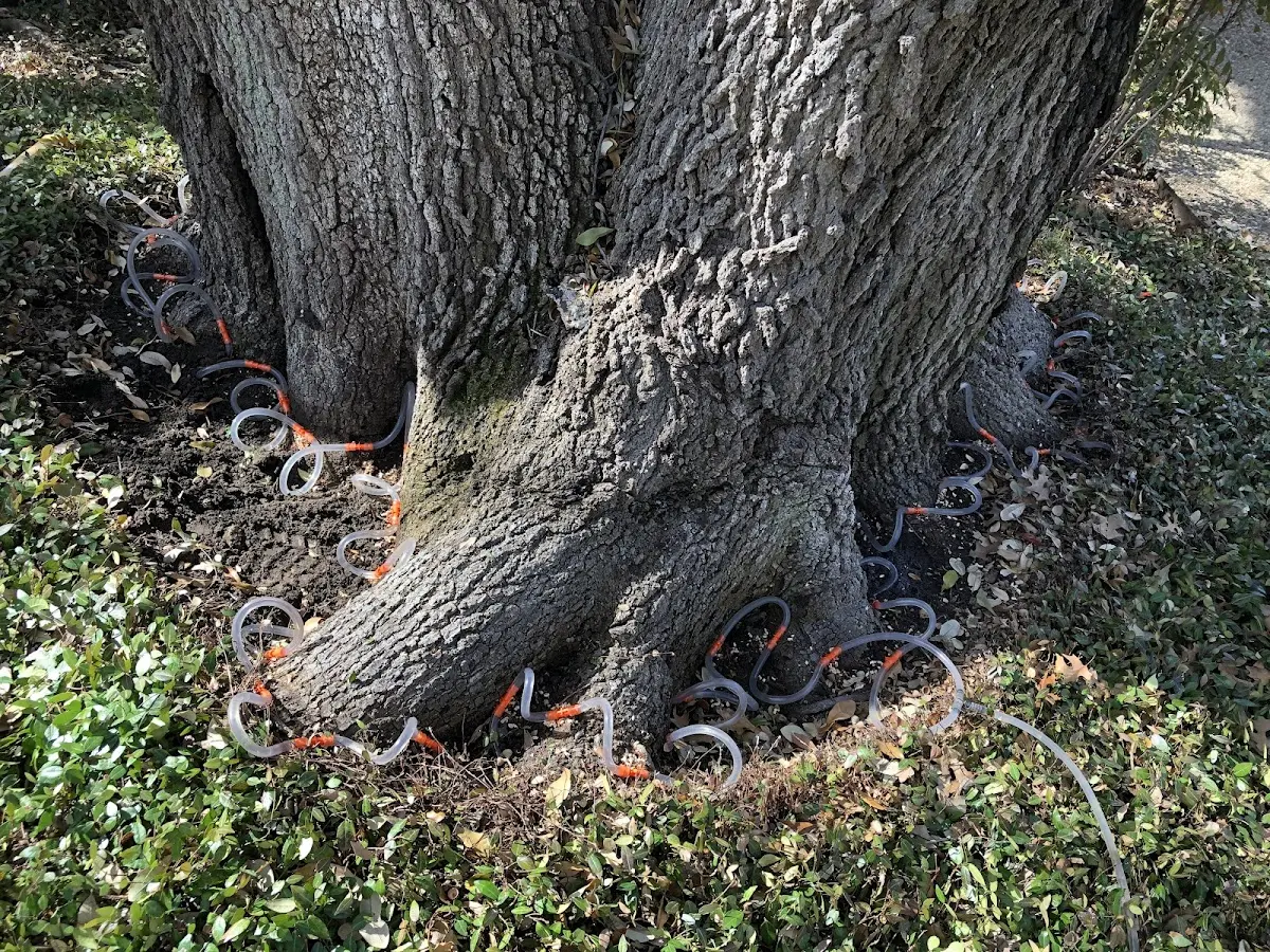 Detailed Shrub and Hedge Trimming job site in Porterfield