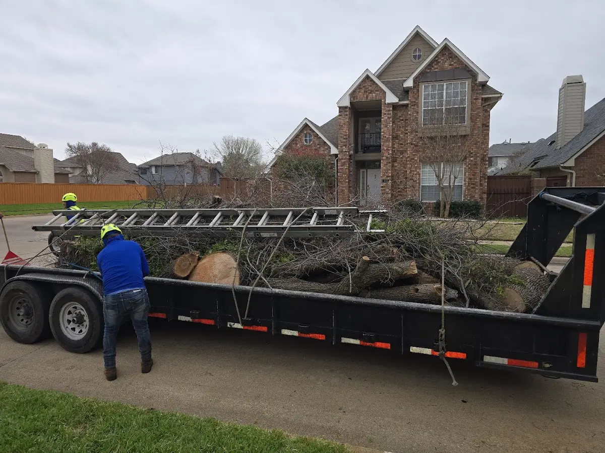 Expert Tree Fertilization with proper safety equipment in Porterfield